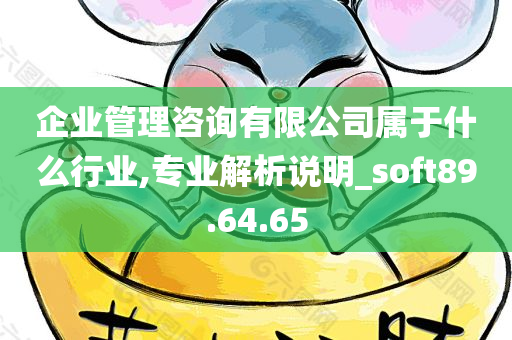 企业管理咨询有限公司属于什么行业,专业解析说明_soft89.64.65