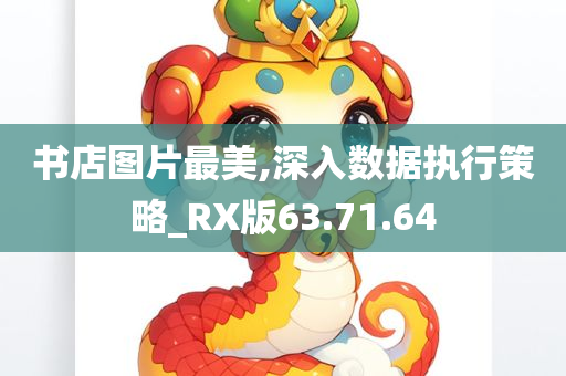 书店图片最美,深入数据执行策略_RX版63.71.64