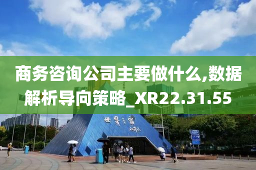 商务咨询公司主要做什么,数据解析导向策略_XR22.31.55