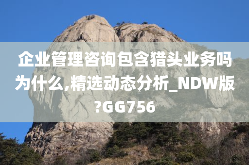 企业管理咨询包含猎头业务吗为什么,精选动态分析_NDW版?GG756