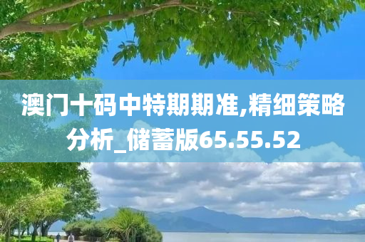 澳门十码中特期期准,精细策略分析_储蓄版65.55.52