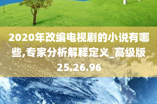 2020年改编电视剧的小说有哪些,专家分析解释定义_高级版25.26.96