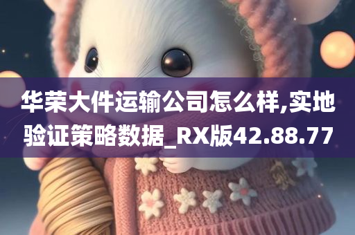 华荣大件运输公司怎么样,实地验证策略数据_RX版42.88.77