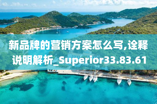 新品牌的营销方案怎么写,诠释说明解析_Superior33.83.61