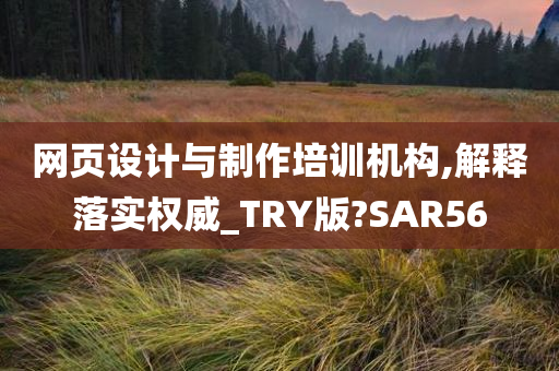 网页设计与制作培训机构,解释落实权威_TRY版?SAR56