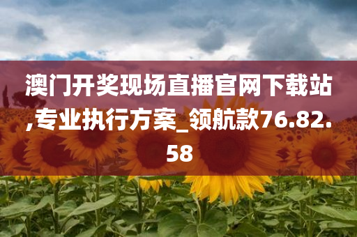 澳门开奖现场直播官网下载站,专业执行方案_领航款76.82.58