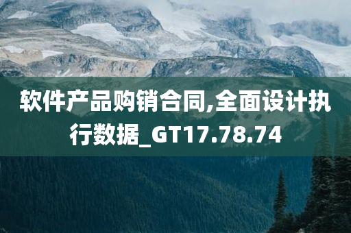 软件产品购销合同,全面设计执行数据_GT17.78.74