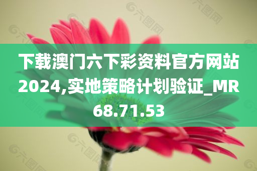 下载澳门六下彩资料官方网站2024,实地策略计划验证_MR68.71.53