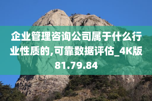 企业管理咨询公司属于什么行业性质的,可靠数据评估_4K版81.79.84