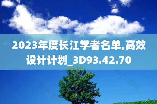 2023年度长江学者名单,高效设计计划_3D93.42.70