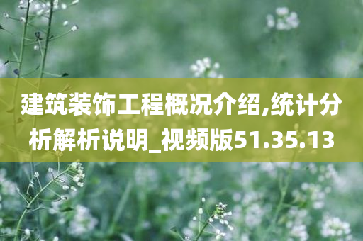 建筑装饰工程概况介绍,统计分析解析说明_视频版51.35.13