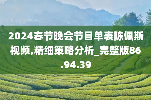 2024春节晚会节目单表陈佩斯视频,精细策略分析_完整版86.94.39