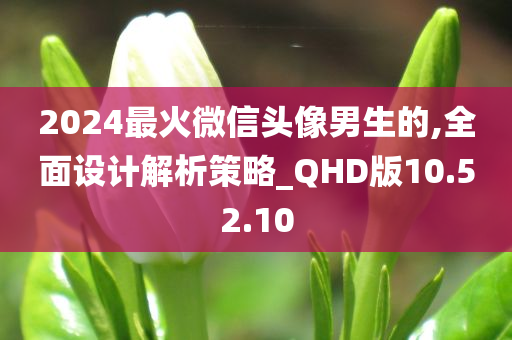 2024最火微信头像男生的,全面设计解析策略_QHD版10.52.10