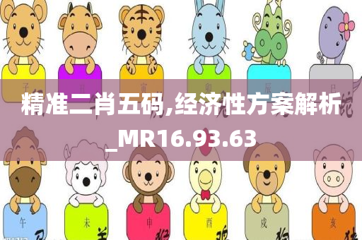 精准二肖五码,经济性方案解析_MR16.93.63