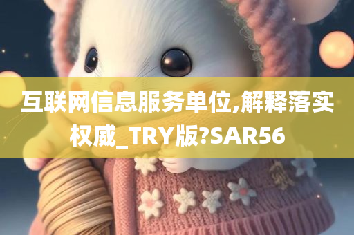 互联网信息服务单位,解释落实权威_TRY版?SAR56