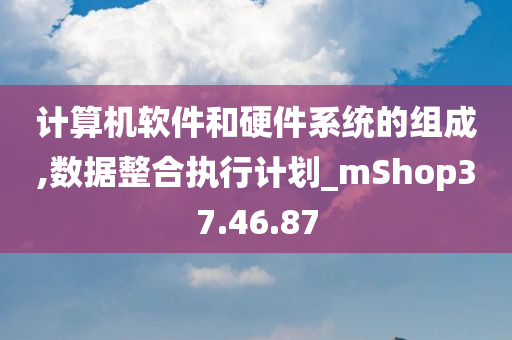 计算机软件和硬件系统的组成,数据整合执行计划_mShop37.46.87