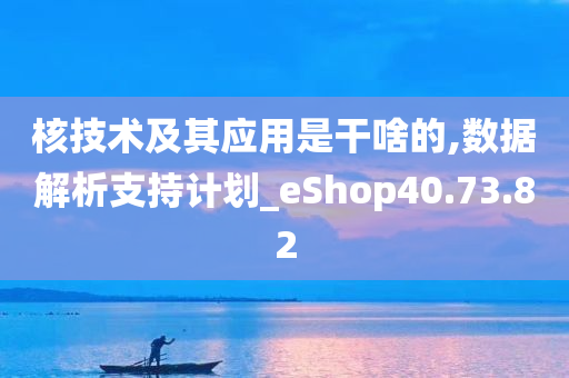 核技术及其应用是干啥的,数据解析支持计划_eShop40.73.82