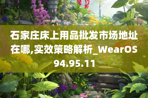 石家庄床上用品批发市场地址在哪,实效策略解析_WearOS94.95.11