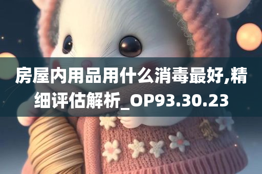 房屋内用品用什么消毒最好,精细评估解析_OP93.30.23