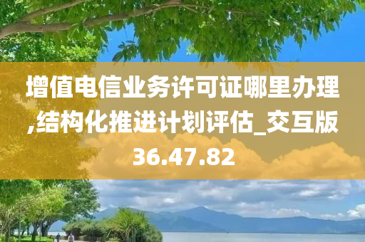 增值电信业务许可证哪里办理,结构化推进计划评估_交互版36.47.82