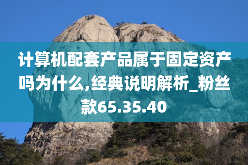 计算机配套产品属于固定资产吗为什么,经典说明解析_粉丝款65.35.40