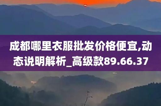 成都哪里衣服批发价格便宜,动态说明解析_高级款89.66.37