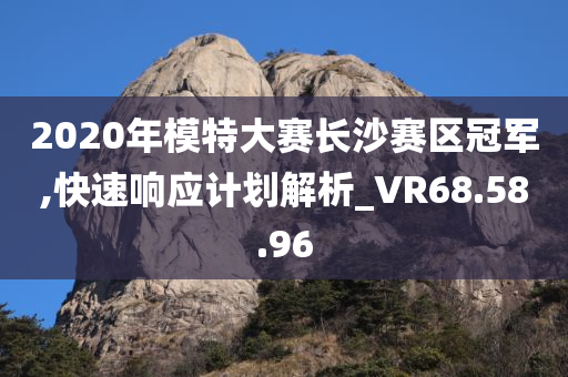 2020年模特大赛长沙赛区冠军,快速响应计划解析_VR68.58.96