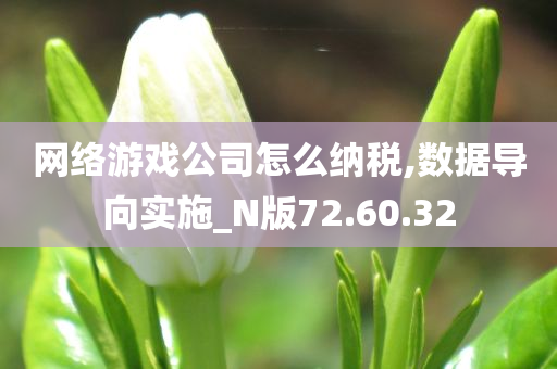 网络游戏公司怎么纳税,数据导向实施_N版72.60.32