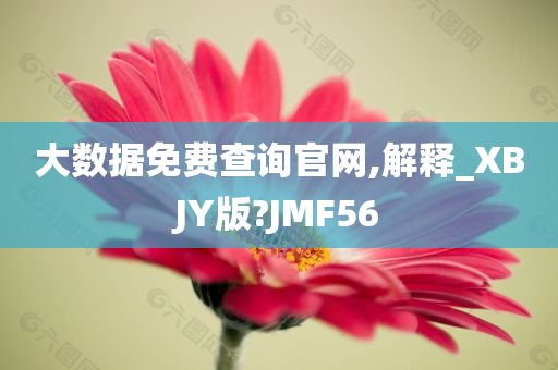 大数据免费查询官网,解释_XBJY版?JMF56