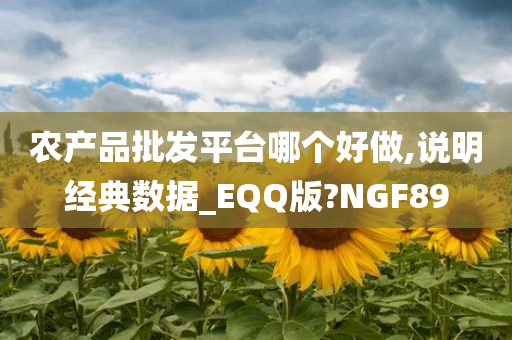 农产品批发平台哪个好做,说明经典数据_EQQ版?NGF89