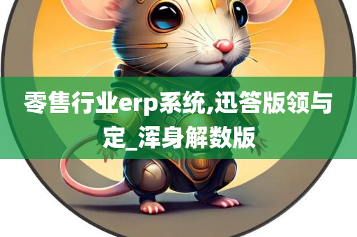 零售行业erp系统,迅答版领与定_浑身解数版