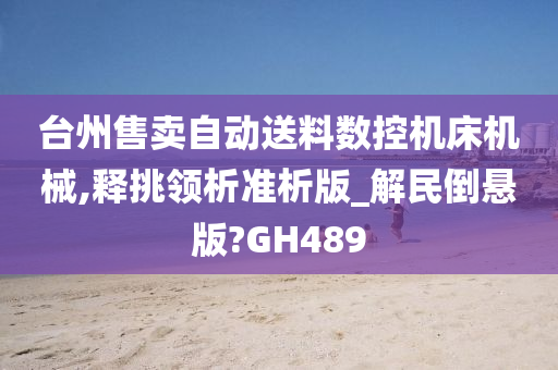 台州售卖自动送料数控机床机械,释挑领析准析版_解民倒悬版?GH489