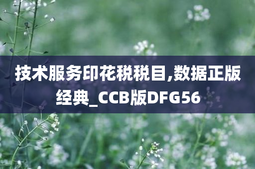 技术服务印花税税目,数据正版经典_CCB版DFG56