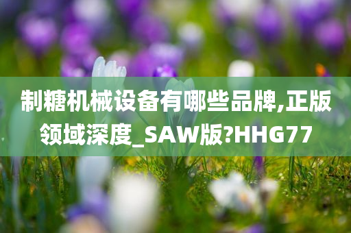 制糖机械设备有哪些品牌,正版领域深度_SAW版?HHG77