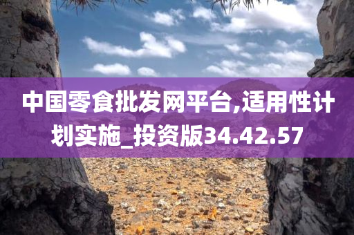 中国零食批发网平台,适用性计划实施_投资版34.42.57