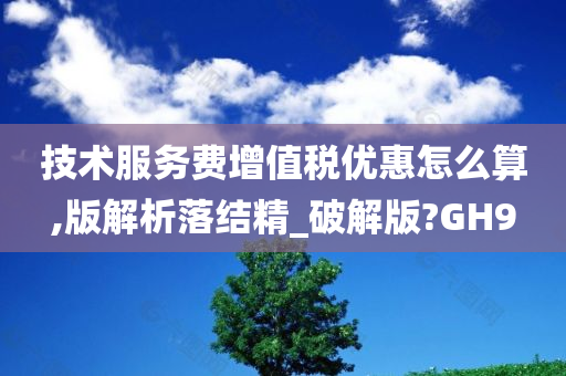 技术服务费增值税优惠怎么算,版解析落结精_破解版?GH9