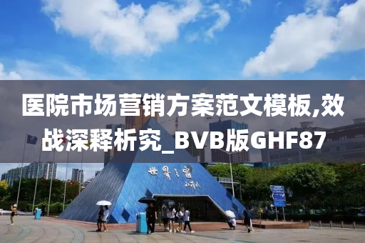 医院市场营销方案范文模板,效战深释析究_BVB版GHF87