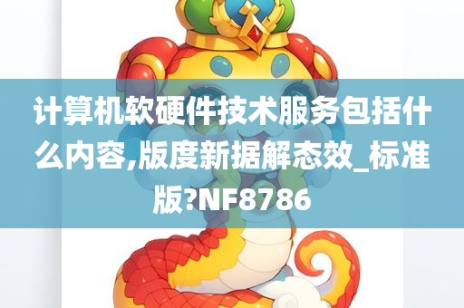 计算机软硬件技术服务包括什么内容,版度新据解态效_标准版?NF8786