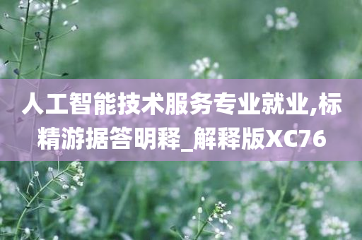 人工智能技术服务专业就业,标精游据答明释_解释版XC76