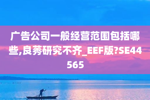 广告公司一般经营范围包括哪些,良莠研究不齐_EEF版?SE44565