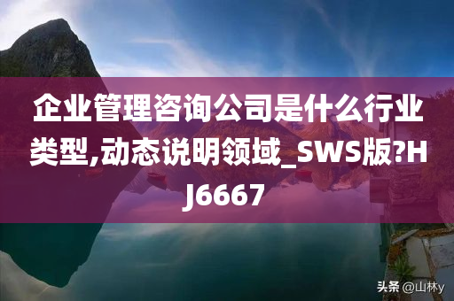 企业管理咨询公司是什么行业类型,动态说明领域_SWS版?HJ6667