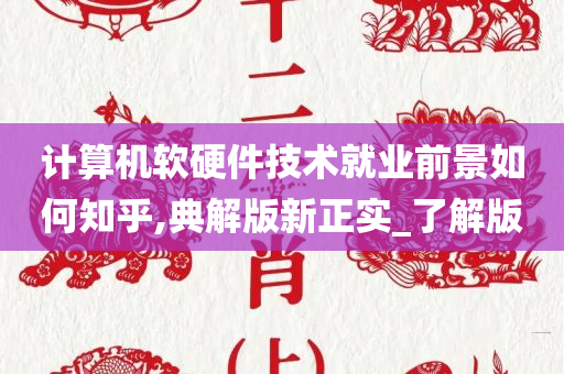 计算机软硬件技术就业前景如何知乎,典解版新正实_了解版