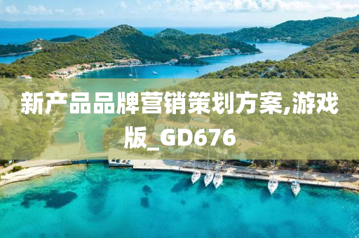 新产品品牌营销策划方案,游戏版_GD676