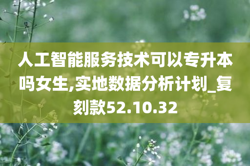 人工智能服务技术可以专升本吗女生,实地数据分析计划_复刻款52.10.32