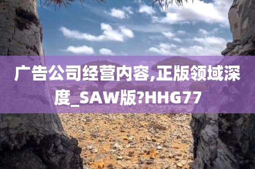 广告公司经营内容,正版领域深度_SAW版?HHG77