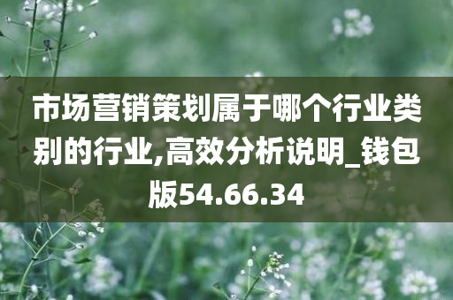 市场营销策划属于哪个行业类别的行业,高效分析说明_钱包版54.66.34