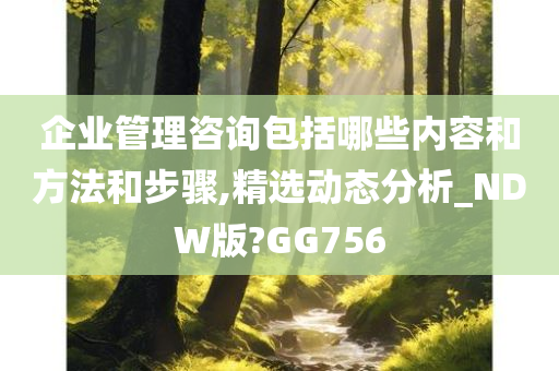 企业管理咨询包括哪些内容和方法和步骤,精选动态分析_NDW版?GG756