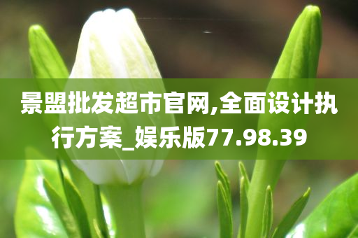 景盟批发超市官网,全面设计执行方案_娱乐版77.98.39