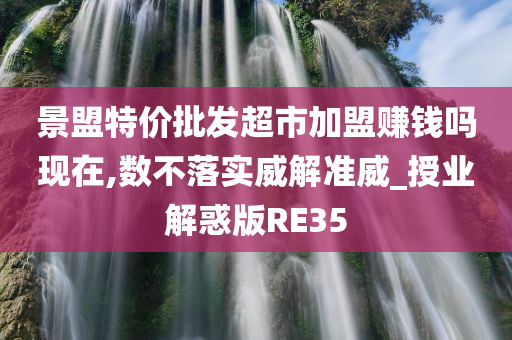 景盟特价批发超市加盟赚钱吗现在,数不落实威解准威_授业解惑版RE35