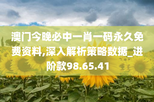 澳门今晚必中一肖一码永久免费资料,深入解析策略数据_进阶款98.65.41